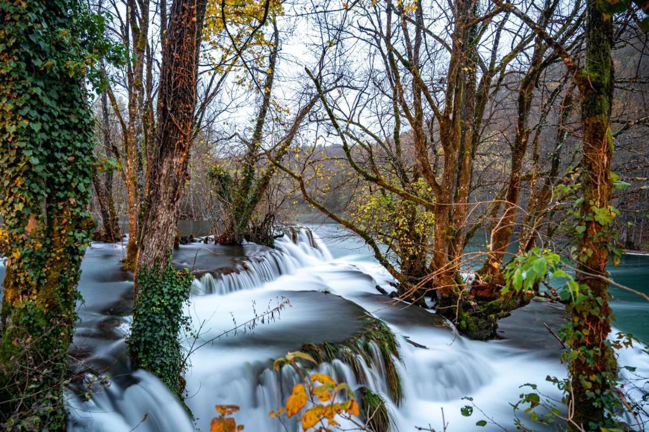 Ecotourism Mreznica Villa Dış mekan fotoğraf