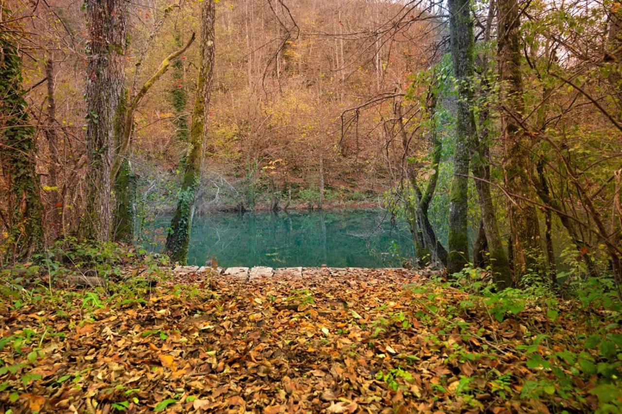 Ecotourism Mreznica Villa Dış mekan fotoğraf